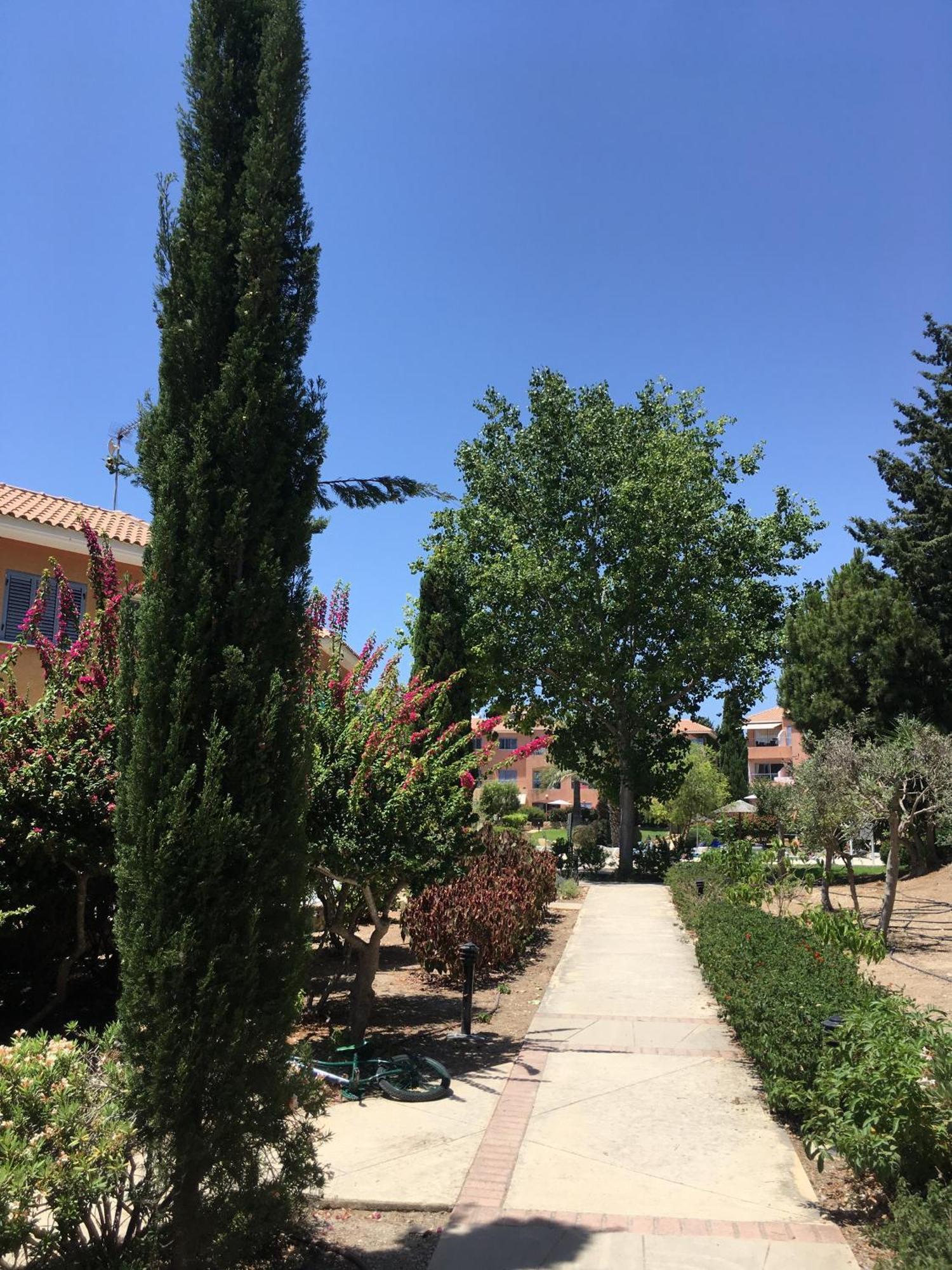 Limnaria Kato - Wonderful Near The And Facilities Pafos