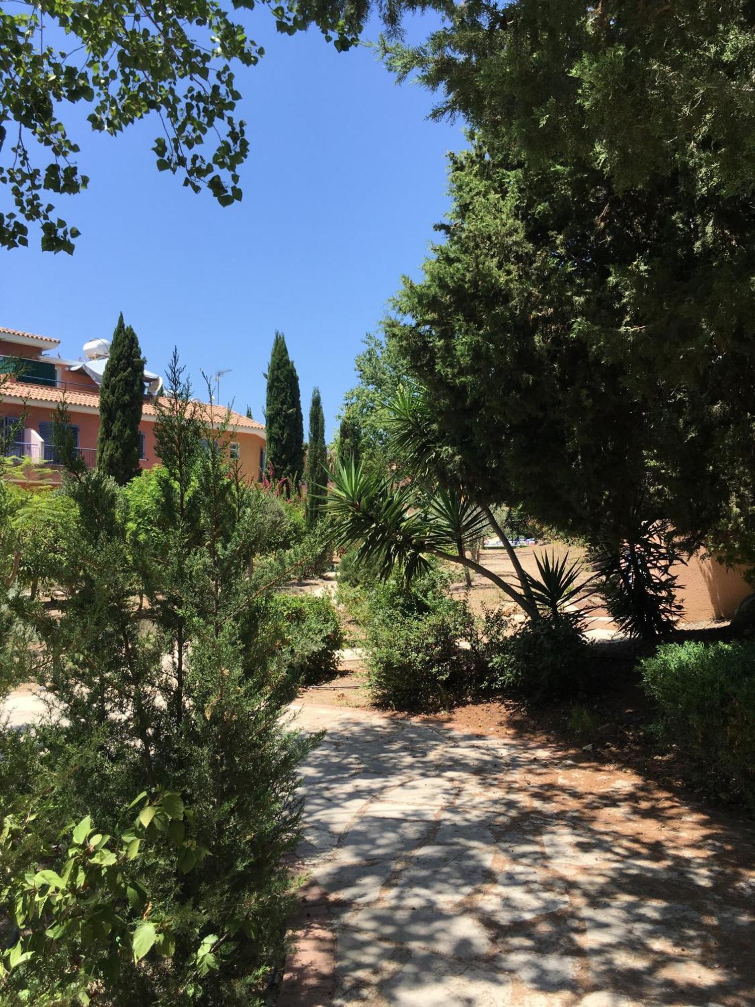 Limnaria Kato - Wonderful Near The And Facilities * Pafos